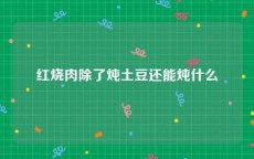 红烧肉除了炖土豆还能炖什么