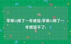 苹果12用了一年感受(苹果12用了一年感受不了)