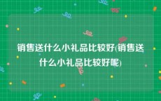 销售送什么小礼品比较好(销售送什么小礼品比较好呢)