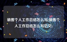 销售个人工作总结怎么写(销售个人工作总结怎么写范文)