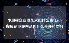 小规模企业股东承担什么责任(小规模企业股东承担什么责任和义务)