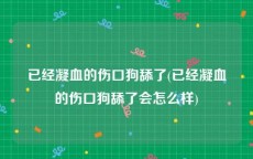已经凝血的伤口狗舔了(已经凝血的伤口狗舔了会怎么样)