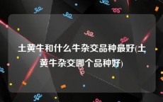 土黄牛和什么牛杂交品种最好(土黄牛杂交哪个品种好)