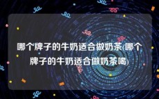 哪个牌子的牛奶适合做奶茶(哪个牌子的牛奶适合做奶茶喝)