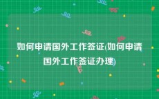 如何申请国外工作签证(如何申请国外工作签证办理)