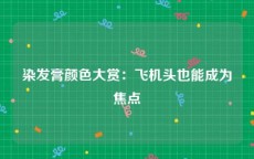 染发膏颜色大赏：飞机头也能成为焦点