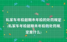 私家车年检超期未年检的处罚规定(私家车年检超期未年检的处罚规定是什么)