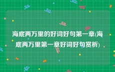 海底两万里的好词好句第一章(海底两万里第一章好词好句赏析)