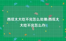 西瓜太大吃不完怎么处理(西瓜太大吃不完怎么办)