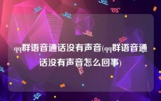 qq群语音通话没有声音(qq群语音通话没有声音怎么回事)