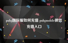 pubg国际服如何充值 pubgmobile微信充值入口