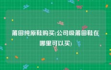 莆田纯原鞋购买(公司级莆田鞋在哪里可以买)