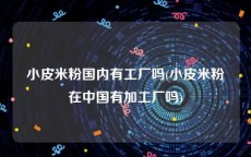小皮米粉国内有工厂吗(小皮米粉在中国有加工厂吗)