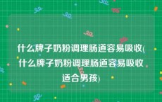 什么牌子奶粉调理肠道容易吸收(什么牌子奶粉调理肠道容易吸收适合男孩)