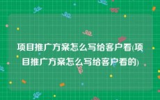 项目推广方案怎么写给客户看(项目推广方案怎么写给客户看的)