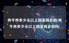 养牛养多少头以上国家有补助(养牛养多少头以上国家有补助吗)