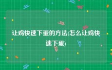 让鸡快速下蛋的方法(怎么让鸡快速下蛋)