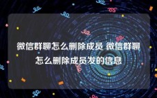 微信群聊怎么删除成员 微信群聊怎么删除成员发的信息
