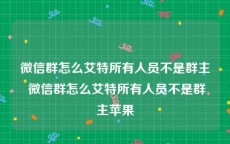 微信群怎么艾特所有人员不是群主 微信群怎么艾特所有人员不是群主苹果