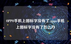 OPPO手机上图标字没有了 oppo手机上图标字没有了怎么办