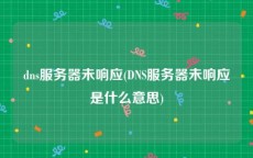 dns服务器未响应(DNS服务器未响应是什么意思)