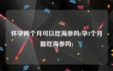 怀孕两个月可以吃海参吗(孕3个月能吃海参吗)