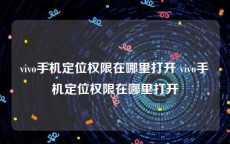 vivo手机定位权限在哪里打开 vivo手机定位权限在哪里打开
