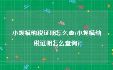 小规模纳税证明怎么查(小规模纳税证明怎么查询)