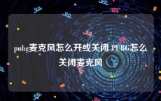 pubg麦克风怎么开或关闭 PUBG怎么关闭麦克风