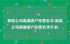 保险公司高端客户经营名字(保险公司高端客户经营名字大全)