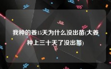 我种的姜15天为什么没出苗(大姜种上三十天了没出苗)