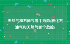 天然气和石油气哪个危险(液化石油气和天然气哪个危险)