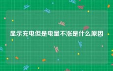 显示充电但是电量不涨是什么原因