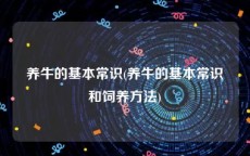 养牛的基本常识(养牛的基本常识和饲养方法)
