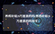 养鸡补贴20万是真的吗(养鸡补贴20万是真的吗知乎)