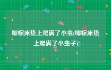 椰棕床垫上爬满了小虫(椰棕床垫上爬满了小虫子)