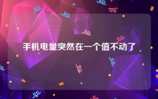 手机电量突然在一个值不动了