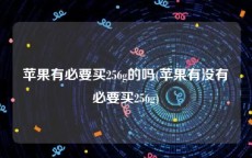 苹果有必要买256g的吗(苹果有没有必要买256g)