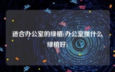 适合办公室的绿植(办公室摆什么绿植好)