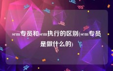 sem专员和sem执行的区别(sem专员是做什么的)
