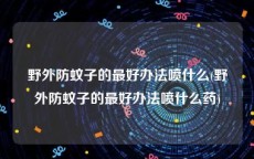野外防蚊子的最好办法喷什么(野外防蚊子的最好办法喷什么药)