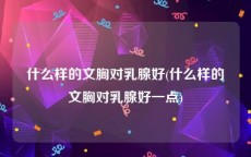 什么样的文胸对乳腺好(什么样的文胸对乳腺好一点)