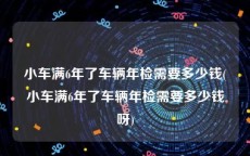 小车满6年了车辆年检需要多少钱(小车满6年了车辆年检需要多少钱呀)