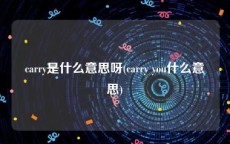 carry是什么意思呀(carry you什么意思)