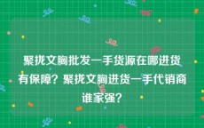 聚拢文胸批发一手货源在哪进货有保障？聚拢文胸进货一手代销商谁家强？
