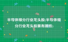 半导体细分行业龙头股(半导体细分行业龙头股票有哪些)