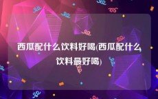 西瓜配什么饮料好喝(西瓜配什么饮料最好喝)