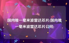 国内唯一毫米波雷达芯片(国内唯一毫米波雷达芯片公司)