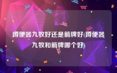 蹲便器九牧好还是箭牌好(蹲便器九牧和箭牌哪个好)
