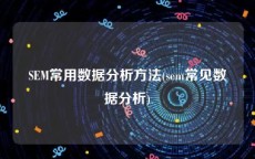 SEM常用数据分析方法(sem常见数据分析)